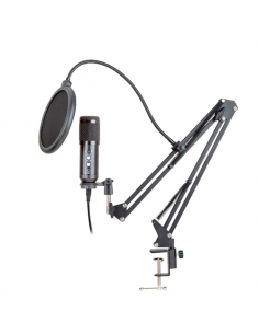 Microfono Inalambrico Suono Karaoke Wg-308e